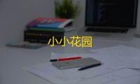 小小花园